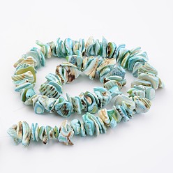 Sky Blue Natural Shell Bead Strands, Dyed, Nuggets, Sky Blue, 10~20x8~12x3~6mm, Hole: 1mm, about 15.7 inch