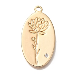 August Gladiolus Латунные микро проложить кубического циркония подвески, без кадмия, без никеля и без свинца, подвески-цветы на день рождения, Августовский гладиолус, 26x14x1 мм, отверстие : 1.2 мм