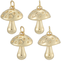 Настоящее золото 18K 8 латунные подвески шт., грибные прелести, долговечный, без свинца и без кадмия, стойки покрытие, с целью перехода в кольце, реальный 18 k позолоченный, 19.5x15.5 мм, отверстие : 3.4 мм