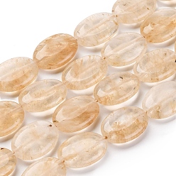 Другие Арбузы Арбуз камень стеклянные бусы пряди, Плоско-овальные, 18x13x6 мм, отверстие : 1.2 мм, около 22 шт / нитка, 15.55 дюйм (39.5 см)