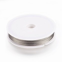 Raw Tiger Tail Wire, Nylon-coated Stainless Steel, Original Color(Raw), Raw, 24 Gauge, 0.5mm, about 164.04 Feet(50m)/roll