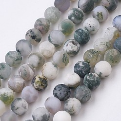 Tree Agate Natural Tree Agate Bead Strands, Frosted, Round, 6~6.5mm, Hole: 0.5mm, about 62pcs/strand, 14.7 inch(37.5cm)