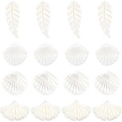 Mixed Shapes 16шт 4 стили подвески из натуральных ракушек, подвески в форме листьев и ракушек, цвет морской раковины, 16~35x13~28x1~2 мм, отверстие : 1~1.2 мм, 4 шт / стиль