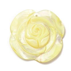 Шампанско-Желтый Подвески из натуральной окрашенной ракушки, , шампанское желтый, 42x42x5 мм, отверстие : 1.4 мм