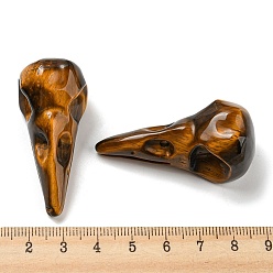 Tiger Eye Natural Tiger Eye Pendants, Bird Head Skull Charms, 47~49x20~22x20~22mm, Hole: 2~2.5mm