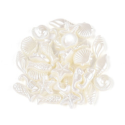 Кремово-белый Бусины из искусственного жемчуга из АБС-пластика с океанской тематикой, разнообразные, кремово-белые, 10~15x5.5~12x4 мм, отверстие : 1.5 мм, Около 2083 шт / 500 г