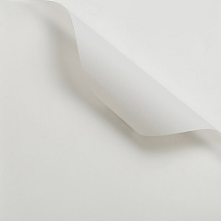 Светло-серый Сплошная цветная пластиковая бумага для оберточной бумаги для цветов, водостойкая флористическая бумага для букетов, diy crafts, светло-серый, 550~580x550~580x0.05 мм, 20 лист/мешок