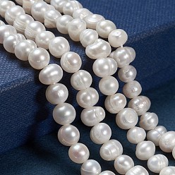 Old Lace Natural Cultured Freshwater Pearl Beads Strands, Potato, Old Lace, 6.5~7mm, Hole: 0.8mm, about 57~58pcs/strand, about 13.39~13.58''(34~34.5cm)