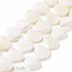 Белый Натуральные бусины из ракушек трохуса, сердце, белые, 12.5x12.5x4 мм, отверстие : 0.8 мм, около 35 шт / нитка, 16.22'' (41.2 см)
