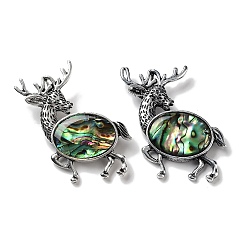 Antique Silver Tibetan Style Alloy Elk Brooches, with Natural Paua Shell, Antique Silver, 49.5x49x11mm