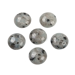 Джаспер Кунжут Кабошоны из кунжутной яшмы, полукруглый, 18x6~8 мм