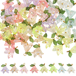 (52) Непрозрачная лаванда 48шт 8 цветные подвески из прозрачного акрила, с бусинами из ракушек и латунной фурнитурой, прелести цветка лилии, разноцветные, 20x16x12 мм, отверстие : 3 мм, 6 шт / цвет