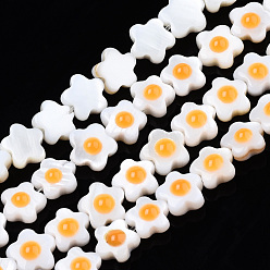 Orange Eau douce naturelle de coquillage perles brins, simple face avec émail, fleur, orange, 6.5~7x6.5~7x3mm, Trou: 0.7mm, Environ 56~63 pcs/chapelet, 13.62 pouces ~ 15.55 pouces (34.6~39.5 cm)