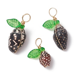 Кокосово-Коричневый Подвески из натуральной морской ракушки, обмотанные медной проволокой, с акриловым листом цвета зеленого лайма, золотые, кокосового коричневый, 17~23x10.5~13.5x6.5~9 мм, отверстие : 4 мм