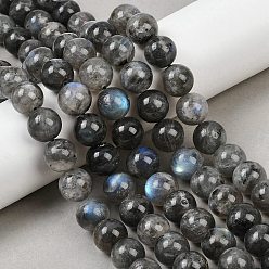 Лабрадорита Природные лабрадорита бисер нитей, круглые, 12.5~13 мм, отверстие : 1.2 мм, около 31 шт / нитка, 15.35'' (39 см)