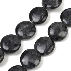 Larvikite Натуральные нити бус из ларвикита, плоско-круглые, 16~18x5.5~6.5 мм, отверстие : 1 мм, около 23 шт / нитка, 15.35'' (39 см)