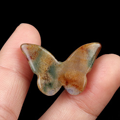 (RRHB277) Кристалл на подкладке из медово-бежевого цвета Природного индийского агата подвески, бабочки прелести, 18.5x28.5x5.5~6 мм, отверстие : 1 мм