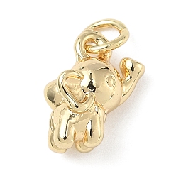 Слон Латунь прелести, без кадмия и без свинца, реальный 18 k позолоченный, с целью перехода в кольце, слон, 12x9x6 мм, отверстие : 3 мм