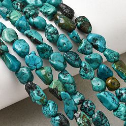 Бирюза из Хубэя Натуральные нити бирюзовый шарик Hubei, самородок, 6~11x6~11x5~7 мм, отверстие : 0.5 мм, 15.35~15.98'' (39~40.6 см)