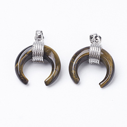 Тигровый глаз Природных тигровый глаз подвески, с латунной фурнитурой , двойной рог / полумесяц, платина, 22~23x19~20x9 мм, отверстие : 5x7 мм