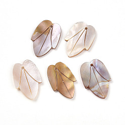 Морская Ракушка Резные подвески из натуральных пресноводных ракушек, лист прелести, цвет морской раковины, 28.5~29.5x17.5~19.5x2~3.5 мм, отверстие : 1.8 мм