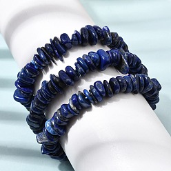 Lapis Lazuli Natural Lapis Lazuli Chip Beaded Stretch Bracelets, Inner Diameter: 1.85~ 2.24 inch(4.7~5.7cm)