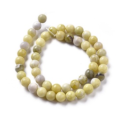 Olive Jade Natural Olive Jade Beads Strands, Round, 8mm, Hole: 1mm, about 49pcs/strand, 14.9~15.1 inch(38~38.5cm)