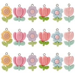 (52) Непрозрачная лаванда 30 шт 6 стили подвески из непрозрачной смолы, , с платиновыми тоновыми железными петлями, разноцветные, 26~29x17~20x6~8 мм, отверстие : 2 мм, 5 шт / стиль