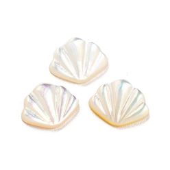 White Natural Sea Shell Cabochons, Shell Shape, White, 7x8.5x2mm
