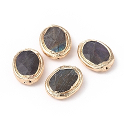 Лабрадорита Природные лабрадорита бисер, с позолоченным латунным краем, граненые, овальные, 15~16x12x5~6 мм, отверстие : 0.7 мм