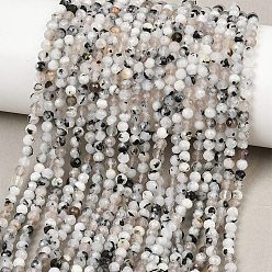 Rainbow Moonstone Бусины из натурального радужного лунного камня, круглые, граненые, 3~3.5 мм, отверстие : 0.5 мм, около 134 шт / нитка, 15.55'' (39.5 см)