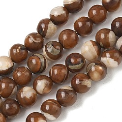 Coconut Brown Natural Trochus Shell Beads Strands, Smooth Round, Coconut Brown, 6mm, Hole: 0.8mm, about 65pcs/strand, 15.16''(38.5cm)