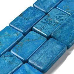 Говлит Природные Говлит бисер нитей, окрашенные, прямоугольные, 20x12x3 мм, отверстие : 1 мм, около 20 шт / нитка, 15.75'' (40 см)