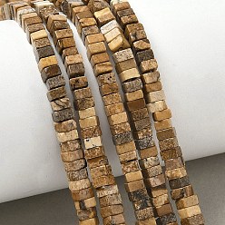 Пейзажный Джаспер Естественного изображения яшмы бисер нитей, квадратный, 4x4x2.5~3 мм, отверстие : 1 мм, около 156~164 шт / нитка, 15.08'' (38.3 см) ~ 15.35'' (39 см)