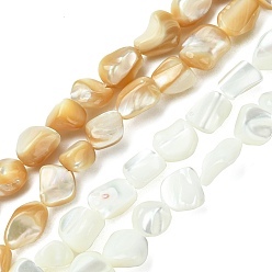 (52) Непрозрачная лаванда 2 нити 2 цвета натуральные ракушечные бусины нити, самородки, разноцветные, 8x8~8.5x5~6.5 мм, отверстие : 0.6 мм, около 50 шт / нитка, 15.55 дюйм (39.5 см), 1 прядь / цвет