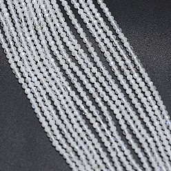 Weiß Natur Labradorit, Perlenstränge, facettiert, Runde, weiß, 2 mm, Bohrung: 0.5 mm, ca. 170~180 Stk. / Strang, 12.9 Zoll~13.3 Zoll (330~340mm)