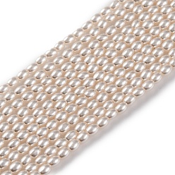 (404) Непрозрачное AB Кислое яблоко Выпечка из окрашенного перламутрового стекла жемчужные бусинки, овальные, цветочный белый, 3x2 мм, отверстие : 0.5 мм, около 130 шт / нитка, 15.75'' (40 см)