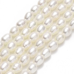 Linen Natural Cultured Freshwater Pearl Beads Strands, Rice, Linen, 3.5~4.5x2.8~3.2mm, Hole: 0.6mm, about 101pcs/strand, 15.35''~15.55"(39~39.5cm)