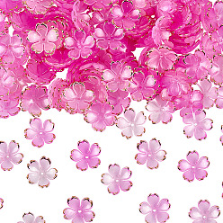 Камелия 180 шт. акриловые колпачки для бусин, 5-лепестков цветка, с золотым краем, камелия, 17.5x18x5 мм, отверстие : 1.2 мм