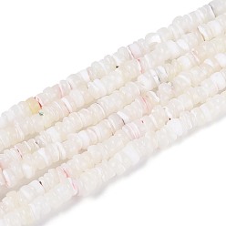 (404) Непрозрачное AB Кислое яблоко Натуральная оболочка из трохидных оболочек, окрашенные, плоско-круглые, цветочный белый, 2.5~3.5x0.2~3 мм, отверстие : 0.5~0.6 мм, около 270~290 шт / нитка, 14.96~15.35 дюйм (38~39 см)