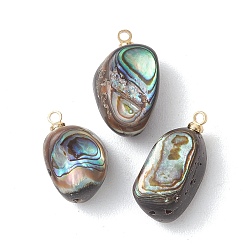 Золотой Природные пауа оболочки подвески, подвески в виде самородков с латунными креплениями, золотые, 16.5~20x9~11.5x8.5~10 мм, отверстие : 1.6 мм