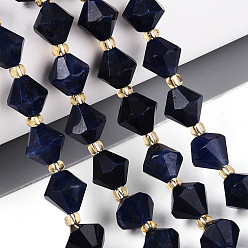 Ляпис-Лазурь Нитки бусины из натурального ляписа-лазури, двухконусные, граненые, с бисером, 8~8.5x7.5~8.5 мм, отверстие : 1~1.2 мм, около 36~39 шт / нитка, 14.37~15.75'' (36.5~40 см)