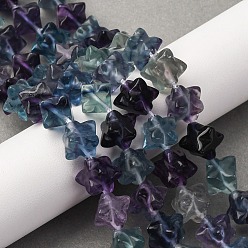 Флюорит Природного флюорита бисер нитей, 3d резьба крест цветок бусины, звезда, 11.5~13x11~12x11~12 мм, отверстие : 1 мм, около 29~30 шт / нитка, 15.35''~15.63'' (39~39.7 см)