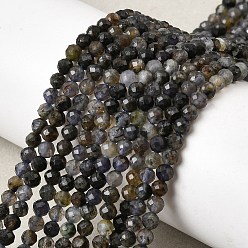 Айолит Природные иолит нитей бисера, круглые, граненые, 3~3.5 мм, отверстие : 0.6 мм, около 120~122 шт / нитка, 15.16~15.35'' (38.5~39 см)
