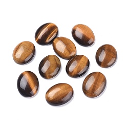 Тигровый глаз Природных тигровый глаз кабошонов, овальные, 20x15x5 мм