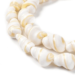 Seashell Color Natural Shell Beads Strands, Conch, Seashell Color, 9~22x5~13mm, Hole: 0.8mm, about 27~28pcs/strand, 15.47''(39.3~39.5cm)