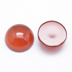 Красный Агат Природные сердоликовые кабошоны, полукруглые / купольные, 10x5 мм