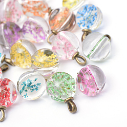 Античная Бронза Круглые литые стеклянные подвески, без кадмия и без свинца, с сухих цветов внутри, античная бронза, 22~23x15 мм, отверстие : 4.5x2.5 мм