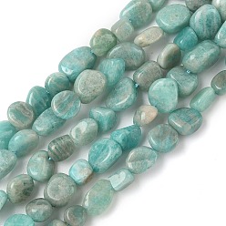 Амазонит Природных амазонит бисер нитей, упавший камень, самородки, 6~8x4~6 мм, отверстие : 1 мм, 15.3 дюйм (39 см)