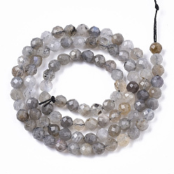 Labradorite Natural Labradorite Beads Strands, Round, Faceted, 4mm, Hole: 0.8mm, about 90pcs/Strand, 15.75 inch(40cm)
